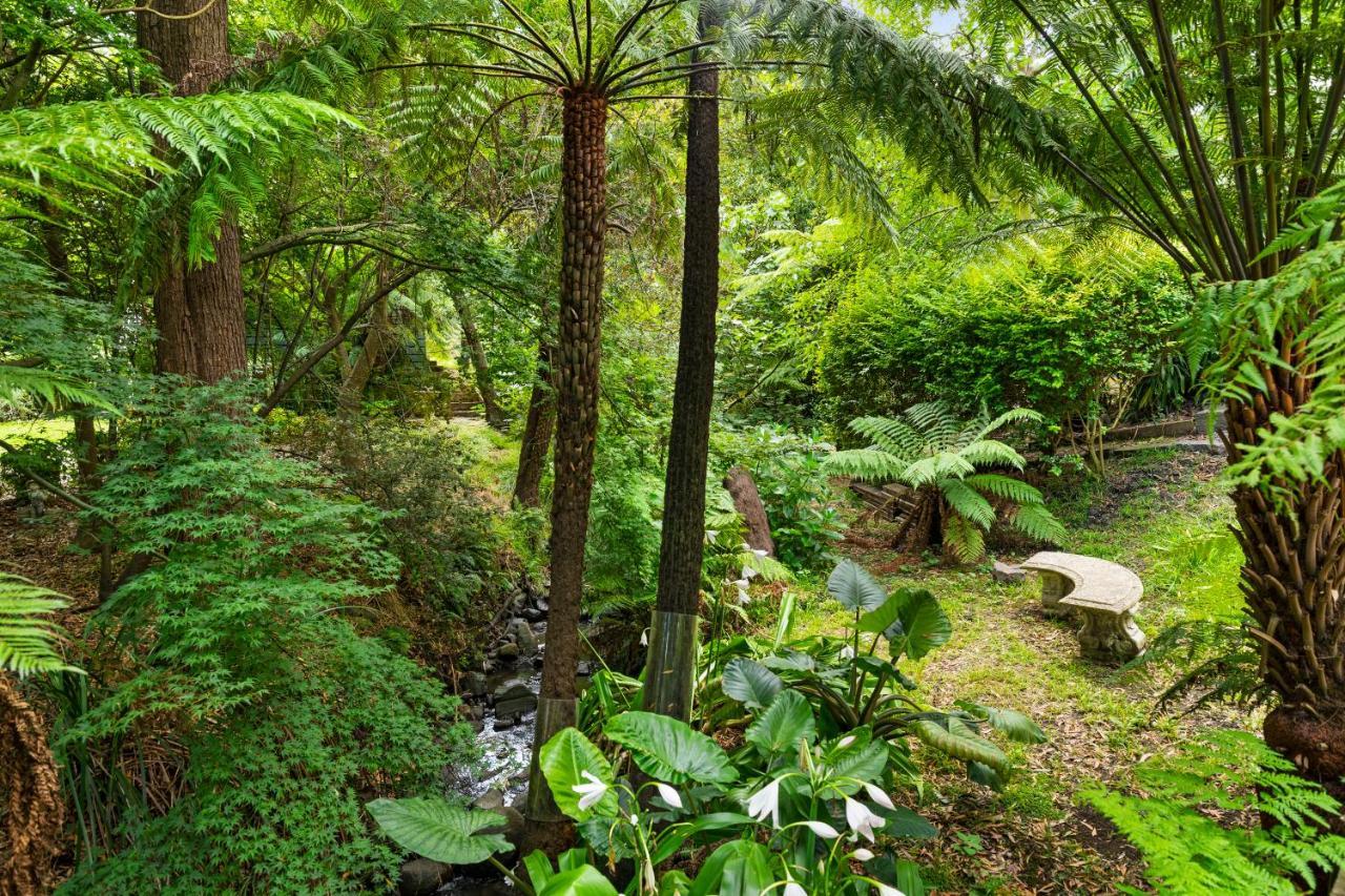 Paddys Creek Retreat Villa Upwey Buitenkant foto